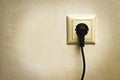 Electric plug in a socket