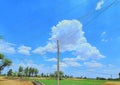Electric pole, blue sky and white clouds and greenery Royalty Free Stock Photo