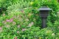 Electric pole in flowers garden Royalty Free Stock Photo