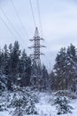 Electric pole in the forest covered with snow Royalty Free Stock Photo