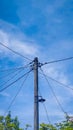 an electric pole with a lamp and some wires in fine weather and several trees