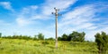 Electric pole on nature in spring Royalty Free Stock Photo