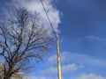 electric pole with wires against the blue sky and white clouds with dry tree branches Royalty Free Stock Photo