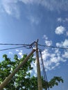 electric pole with wires against the blue sky and white clouds near green tree branches in the summertime Royalty Free Stock Photo