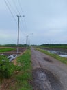 Electric poles and lampposts line the side of the dirt road. surrounding farmland and green grass and blue sky Royalty Free Stock Photo