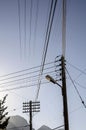 electric poles with many wires against the blue sky Royalty Free Stock Photo