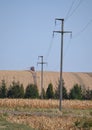 Electric poles and network in field Royalty Free Stock Photo