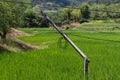 Electric poles Royalty Free Stock Photo