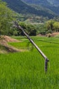 Electric poles Royalty Free Stock Photo