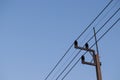 Electric post and power line Royalty Free Stock Photo