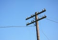 Electric post power pole. Wire breakage after hurricane. Broken power line.