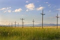 Electric Posts in a Field - Helena