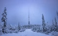 Electric power line in mist in a field covered with snow and full of spruces Royalty Free Stock Photo