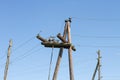 Electric Power line with wooden poles against blue sky background. Birds are sitting on a power line Royalty Free Stock Photo