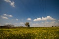 Electric power lines going through stunning meadow