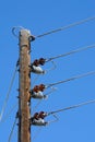 Electric power line pole Royalty Free Stock Photo