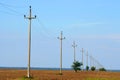 Electric power poles on the field Royalty Free Stock Photo