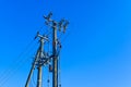 electric power sky lines and connections on a wooden post. wooden electricity post against blue sky. Electric power lines and Royalty Free Stock Photo