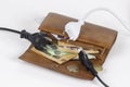 Electric power supply power cords cable plugged in open wallet with Euro money. Payment of electricity bills. Rising Royalty Free Stock Photo