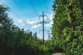 Electric Power Transmission Lines over trees. High voltage transmission tower in the forest.power lines. power distribution Royalty Free Stock Photo