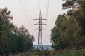 Electric Power Transmission Lines over trees. High voltage transmission tower in the forest.power lines. power Royalty Free Stock Photo