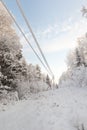 Electric power transmission in winter wood Royalty Free Stock Photo