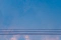 Electric wires on blue sky at evening