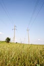 Electric powerline. Royalty Free Stock Photo