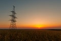 Electric pylon on wheat fields at sunrise Royalty Free Stock Photo