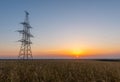 Electric pylon on wheat fields at sunrise Royalty Free Stock Photo