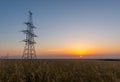 Electric pylon on wheat fields at sunrise Royalty Free Stock Photo