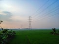 Electric pylon with wires connecting each other through green rice fields.