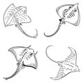 Electric ray fish set line art and isolated on white background illustrator eps Royalty Free Stock Photo