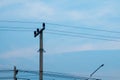 Electric receive pole and signal wire or connection line and blue sky background .