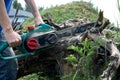 Electric saw in action cutting wood. Man cutting wood with saw, dust and movements. Close-up of woodcutter sawing chain saw in Royalty Free Stock Photo