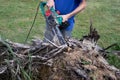 Electric saw in action cutting wood. Man cutting wood with saw, dust and movements. Close-up of woodcutter sawing chain saw in Royalty Free Stock Photo