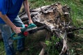 Electric saw in action cutting wood. Man cutting wood with saw, dust and movements. Close-up of woodcutter sawing chain saw in Royalty Free Stock Photo