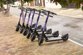 Electric scooter for rent, sharing. Six purple Electric Scooters are parked on sidewalk. Front view