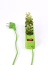 Electric socket with green plants on white background Royalty Free Stock Photo