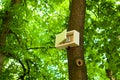 Electric socket in white box on the tree in park. Green energy concept. Blurred tree leaves background Royalty Free Stock Photo