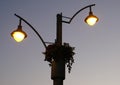 Electric street lamps or lights at night Royalty Free Stock Photo