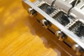 Electric sunburst guitar bridge close-up macro