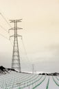 Electric Tower in vineyard snow Royalty Free Stock Photo