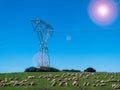 electric trellis in a sheep pasture