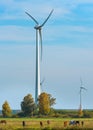 Electric wind farm, a renewable ecological energy source. Horse enclosure, pasture and wind turbines, unique view. Royalty Free Stock Photo