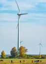 Electric wind farm, a renewable ecological energy source. Horse enclosure, pasture and wind turbines, unique view. Royalty Free Stock Photo