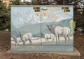 Electrical box in Avon Colorado painted with an elk, cows, mountains and meadows.