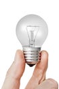 Electrical bulb in the hand Royalty Free Stock Photo