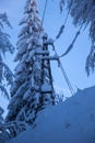 Electrical cables running through forest, covered in snow Royalty Free Stock Photo