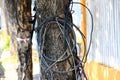 Electrical and communication cables disorderly tied. It can cause harm at any time